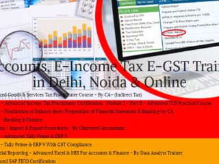 ai-vs-accountants-why-human-expertise-will-still-be-in-demand-in-2025-get-best-accounting-certification-course-by-sla-consultants-india